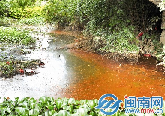 玉田渠水面，水浮蓮叢生，散發(fā)陣陣惡臭