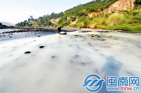 污水直排后，溪水呈乳白色