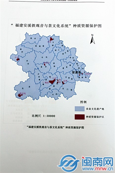 “福建安溪鐵觀音與茶文化系統”種質資源保護圖