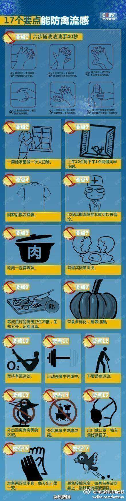 17個要點能防禽流感