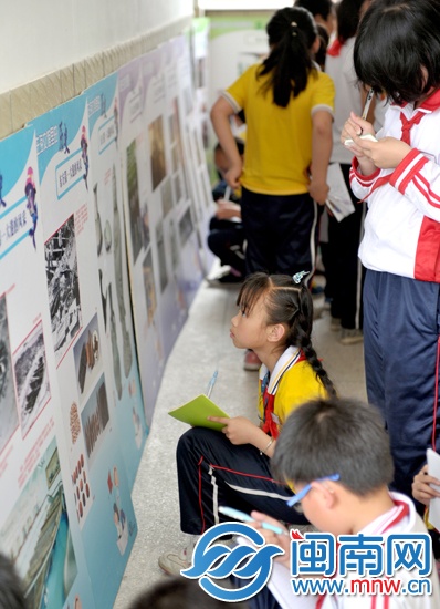 小記者認真記下展板上的知識